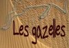 Les Gazelles Ateliers et Spectacles