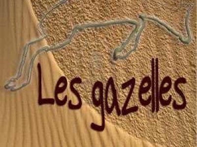 Les Gazelles Ateliers et Spectacles