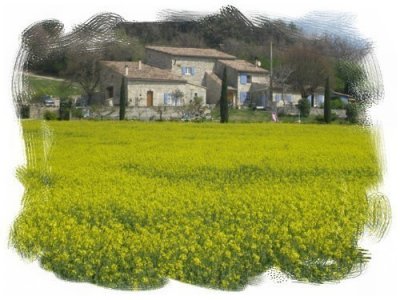 Gîte rural : La Ferme des Oliviers